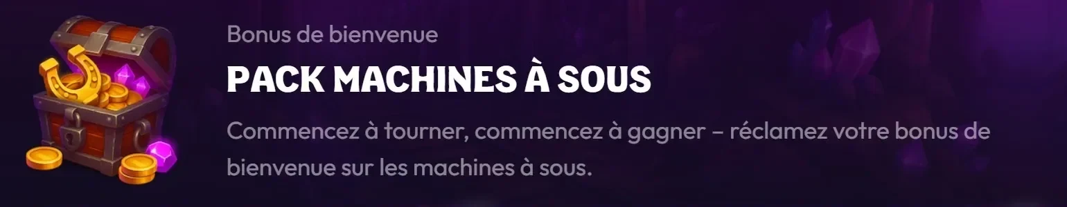 Wildzy Casino : bonus de bienvenue, pack machines à sous